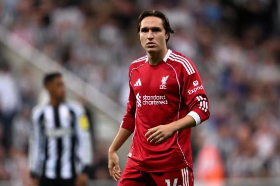 德约澳网退,小兹韦列夫,挺进决赛争,星空体育官网,星空体育App,星空体育直播,星空体育平台,星空体育入口