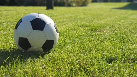 惊险一幕：萨尔瓦多被铲倒致伤离场，医疗车现场CT检查全程曝光